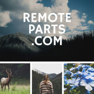RemoteParts/com domain name for sale