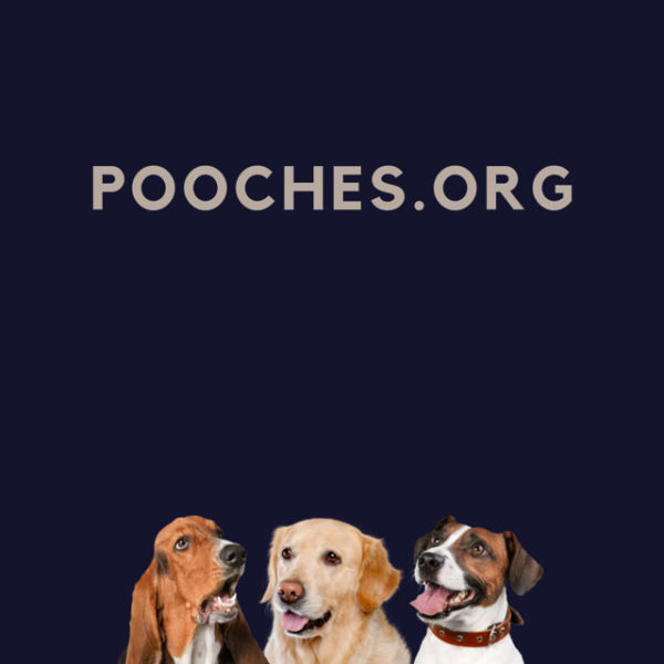 Pooches.org domain name for sale