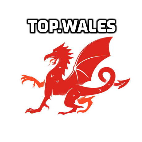 top wales top cymru domain name for welsh website
